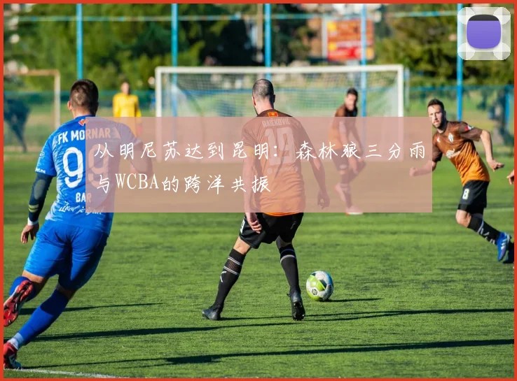 从明尼苏达到昆明：森林狼三分雨与WCBA的跨洋共振