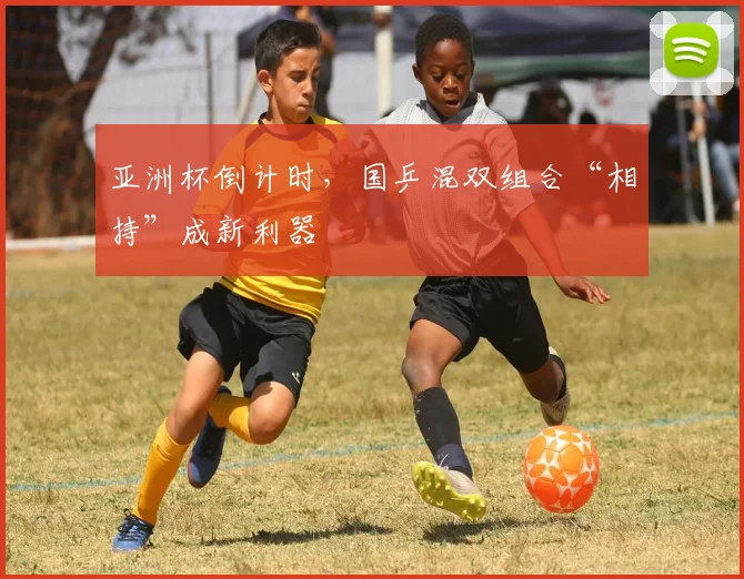 亚洲杯倒计时，国乒混双组合“相持”成新利器