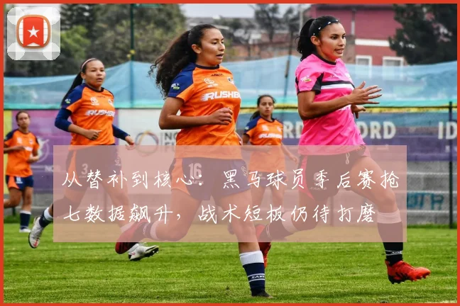 从替补到核心：黑马球员季后赛抢七数据飙升，战术短板仍待打磨