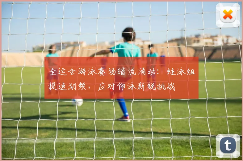 全运会游泳赛场暗流涌动：蛙泳组提速划频，应对仰泳新锐挑战
