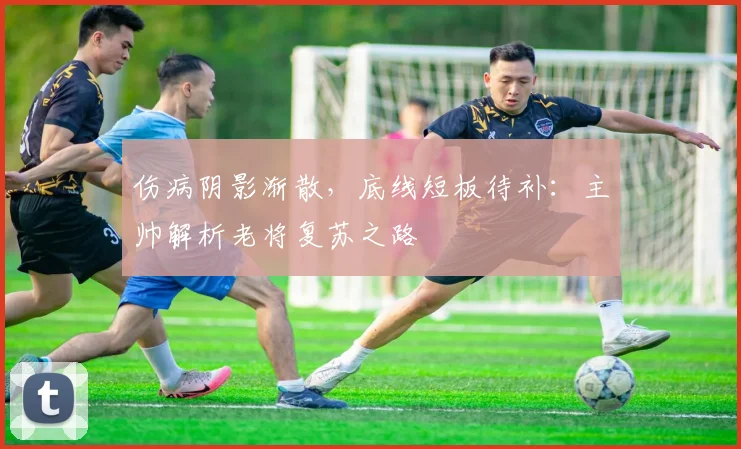 伤病阴影渐散，底线短板待补：主帅解析老将复苏之路